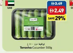 Viva Terraviva Cucumber offer