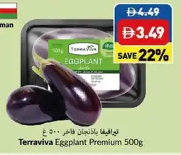 Viva Terraviva Eggplant Premium offer