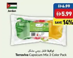 Viva Terraviva Capsicum Mix Color Pack offer