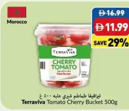 Viva Terraviva Tomato Cherry Bucket offer
