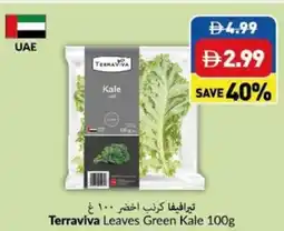 Viva Terraviva Leaves Green Kale offer