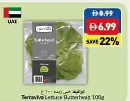 Viva Terraviva Lettuce Butterhead offer