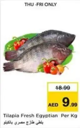 Nesto Tilapia Fresh Egyptian offer