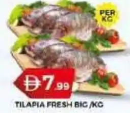 Grand Hyper Market Tilapia fresh bic offer