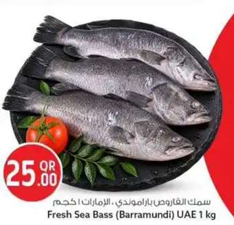 Fresh Sea Bass (Barramundi) UAE