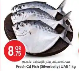 Safari Hypermarket Fresh Cd Fish (Silverbelly) UAE offer