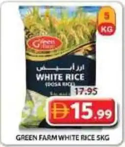 Grand Mall Sharjah Green farm white rice offer