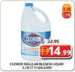 Grand Mall Sharjah Clorox regular bleach liquid offer