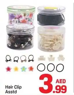 Day To Day Hair Clip Asstd offer