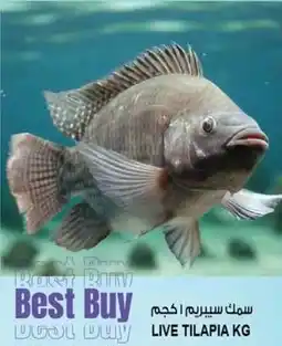 Hashim Hypermarket Live tilapia offer