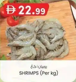 KM Trading Shrimps offer