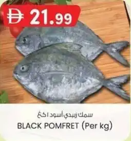KM Trading Black pomfret offer