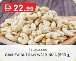 KM Trading Cashew nut raw w240 india offer