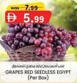 KM Trading Grapes red seedless egypt offer