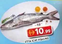 Grand Mall Sharjah Etta (cat fish) offer