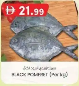 KM Trading Black pomfret offer