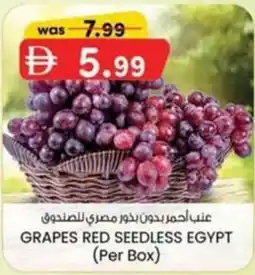 KM Trading Grapes red seedless egypt offer
