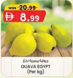 KM Trading Guava egypt offer