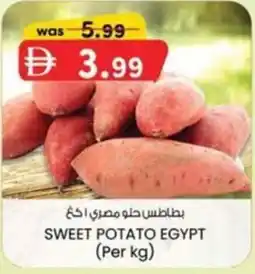 KM Trading Sweet potato egypt offer