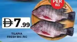 Grand Hyper Market Tilapia fresh big offer
