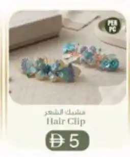 KM Trading Hair Clip offer