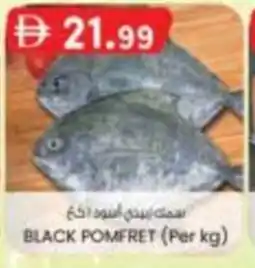 KM Trading Black pomfret offer