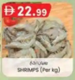 KM Trading Shrimps offer