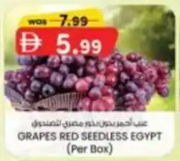 KM Trading Grapes red seedless egypt offer