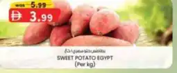 KM Trading Sweet potato egypt offer