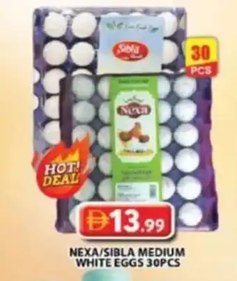 Nexa/sibla medium white eggs