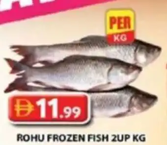 Rohu frozen fish