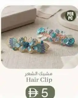 KM Trading Hair Clip offer