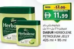KM Trading Dabur herbolene petroleum jelly offer