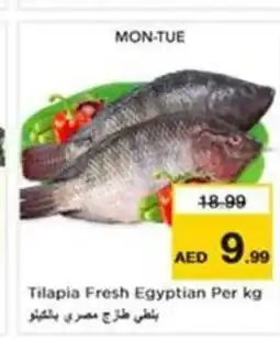 Nesto Tilapia Fresh Egyptian offer