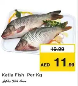 Nesto Katla fish offer