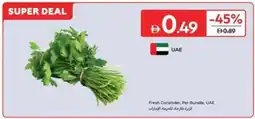 Carrefour Fresh Coriander, UAE offer