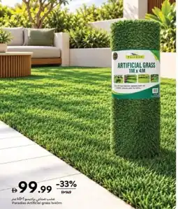 Carrefour Paradiso Artificial grass offer