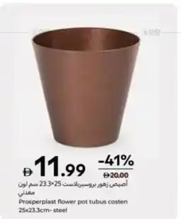 Carrefour Prosperplast flower pot tubus costen steel offer
