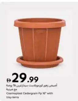 Carrefour Cosmoplast Cedargrain Fp with tray-terra offer