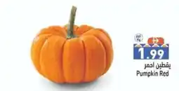 Ramez Pumpkin Red offer