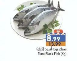 Ramez Tuna Black Fish offer
