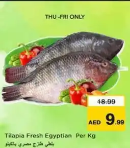 Nesto Tilapia Fresh Egyptian offer