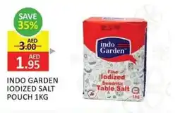 Al Madina Indo garden iodized salt pouch offer