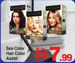Day To Day Sea Color Hair Color Asstd offer