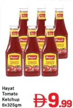 Day To Day Hayat Tomato Ketchup offer