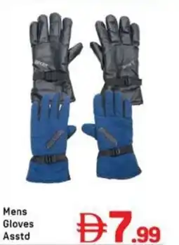 Day To Day Mens Gloves Asstd offer
