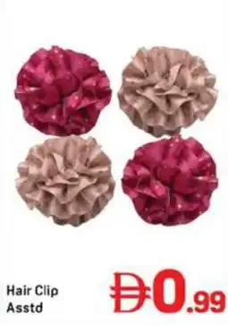 Day To Day Hair Clip Asstd offer