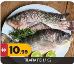 Bigmart Tilapia fish offer