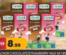 Bigmart Acnor chocolate/strawberry milk offer