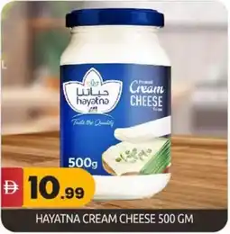 Bigmart Hayatna cream cheese offer